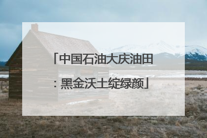 中国石油大庆油田：黑金沃土绽绿颜