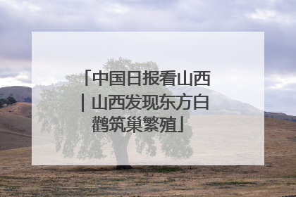 中国日报看山西｜山西发现东方白鹳筑巢繁殖