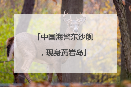 中国海警东沙舰，现身黄岩岛