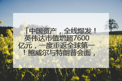 中国资产，全线爆发！英伟达市值增超7600亿元，一度重返全球第一！鲍威尔与特朗普会面，他们聊了什么？