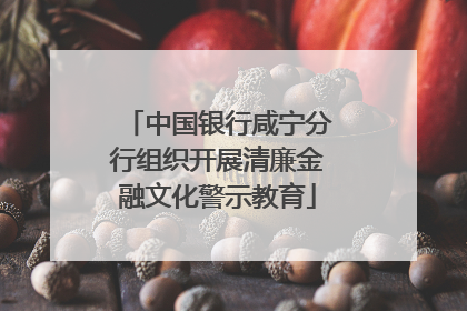 中国银行咸宁分行组织开展清廉金融文化警示教育