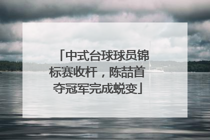 中式台球球员锦标赛收杆，陈喆首夺冠军完成蜕变