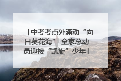 中考考点外涌动“向日葵花海” 全家总动员迎接“凯旋”少年