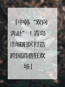 中韩“双向奔赴”！青岛市城阳区打造跨国消费狂欢场