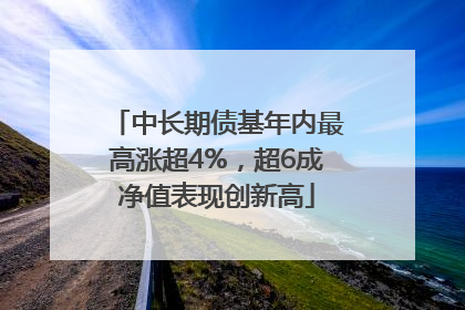 中长期债基年内最高涨超4%，超6成净值表现创新高
