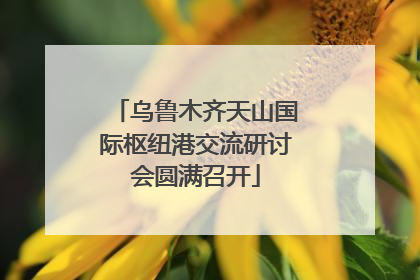 乌鲁木齐天山国际枢纽港交流研讨会圆满召开