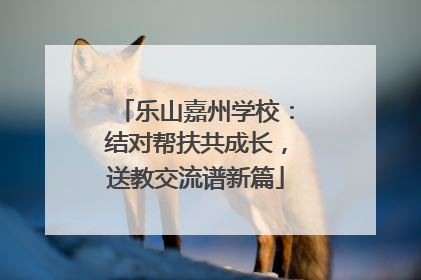乐山嘉州学校：结对帮扶共成长，送教交流谱新篇