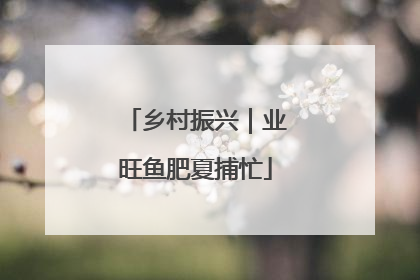 乡村振兴｜业旺鱼肥夏捕忙