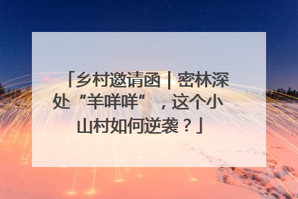 乡村邀请函｜密林深处“羊咩咩”，这个小山村如何逆袭？