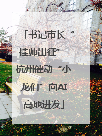 书记市长“挂帅出征” 杭州催动“小龙们”向AI高地进发
