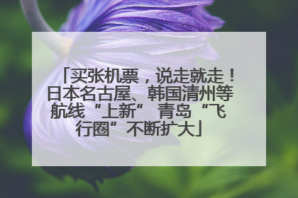 买张机票，说走就走！日本名古屋、韩国清州等航线“上新” 青岛“飞行圈”不断扩大