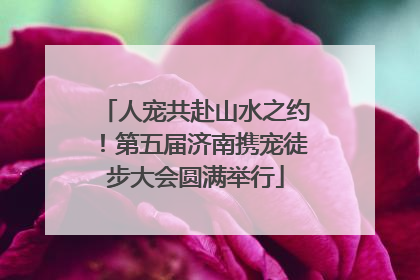 人宠共赴山水之约！第五届济南携宠徒步大会圆满举行