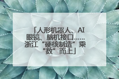 人形机器人、AI眼镜、脑机接口……浙江“硬核制造”乘“数”而上