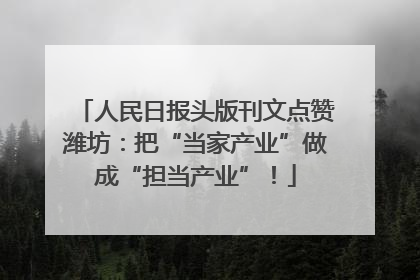 人民日报头版刊文点赞潍坊：把“当家产业”做成“担当产业”！