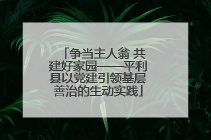 争当主人翁 共建好家园——平利县以党建引领基层善治的生动实践