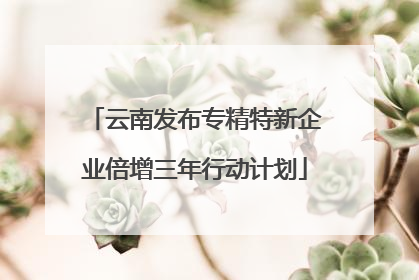 云南发布专精特新企业倍增三年行动计划