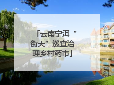 云南宁洱“街天”巡查治理乡村药市