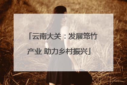 云南大关：发展筇竹产业 助力乡村振兴
