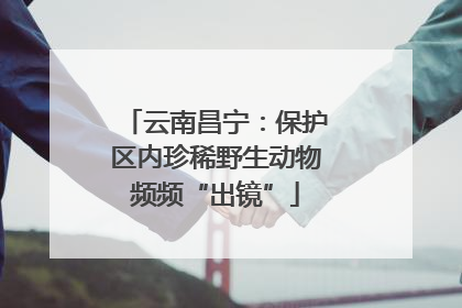 云南昌宁：保护区内珍稀野生动物频频“出镜”