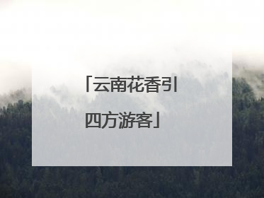 云南花香引四方游客