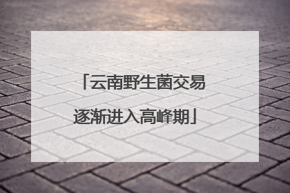 云南野生菌交易逐渐进入高峰期