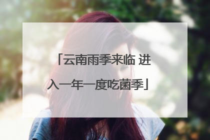 云南雨季来临 进入一年一度吃菌季