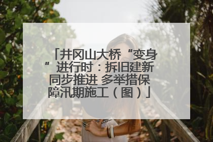 井冈山大桥“变身”进行时：拆旧建新同步推进 多举措保障汛期施工（图）