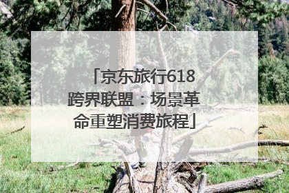 京东旅行618跨界联盟：场景革命重塑消费旅程