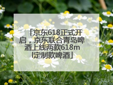 京东618正式开启，京东联合青岛啤酒上线两款618ml定制款啤酒