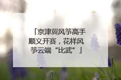 京津冀风筝高手顺义开赛，花样风筝云端“比武”