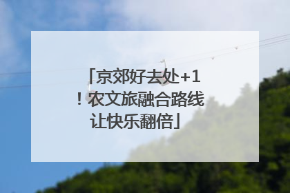 京郊好去处+1！农文旅融合路线让快乐翻倍