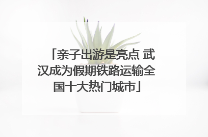 亲子出游是亮点 武汉成为假期铁路运输全国十大热门城市