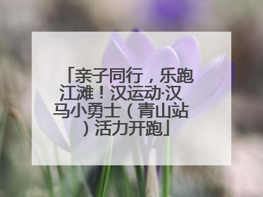 亲子同行，乐跑江滩！汉运动·汉马小勇士（青山站）活力开跑