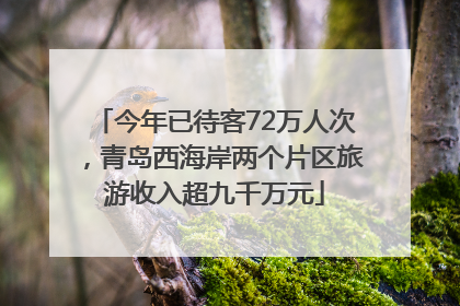 今年已待客72万人次，青岛西海岸两个片区旅游收入超九千万元