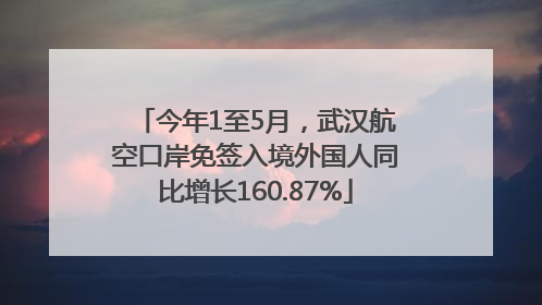 今年1至5月，武汉航空口岸免签入境外国人同比增长160.87%