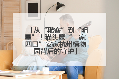从“稀客”到“明星”！猫头鹰“一家四口”安家杭州植物园背后的守护