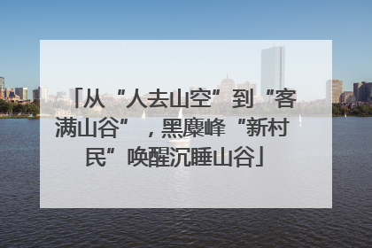 从“人去山空”到“客满山谷”，黑麋峰“新村民”唤醒沉睡山谷