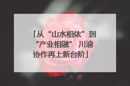 从“山水相依”到“产业相融” 川渝协作再上新台阶