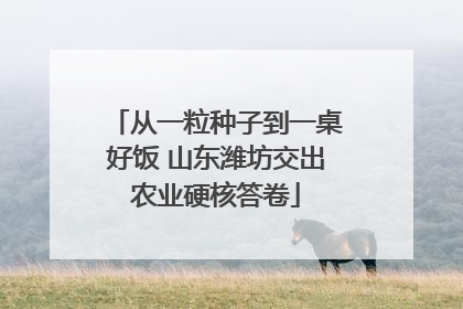 从一粒种子到一桌好饭 山东潍坊交出农业硬核答卷