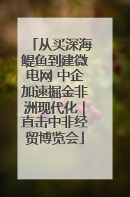 从买深海鳀鱼到建微电网 中企加速掘金非洲现代化｜直击中非经贸博览会