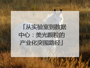 从实验室到数据中心：美光颗粒的产业化突围路径