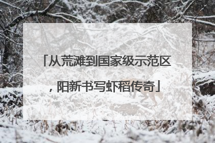 从荒滩到国家级示范区，阳新书写虾稻传奇