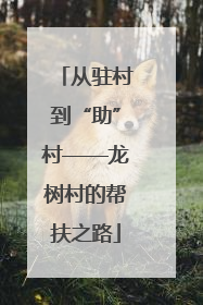 从驻村到“助”村——龙树村的帮扶之路