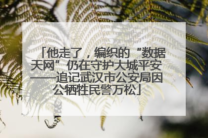 他走了，编织的“数据天网”仍在守护大城平安——追记武汉市公安局因公牺牲民警万松