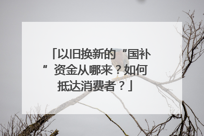 以旧换新的“国补”资金从哪来？如何抵达消费者？