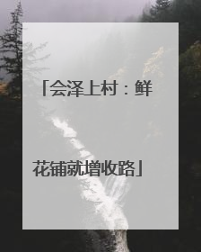 会泽上村：鲜花铺就增收路