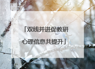 双线并进促教研 心理信息共提升