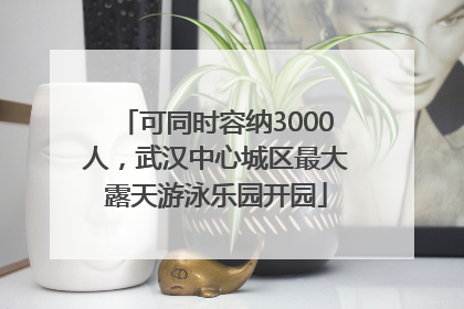 可同时容纳3000人，武汉中心城区最大露天游泳乐园开园