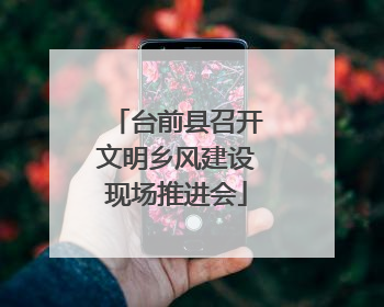台前县召开文明乡风建设现场推进会