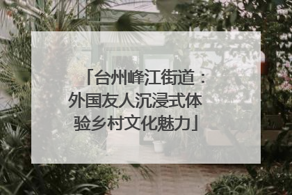 台州峰江街道：外国友人沉浸式体验乡村文化魅力